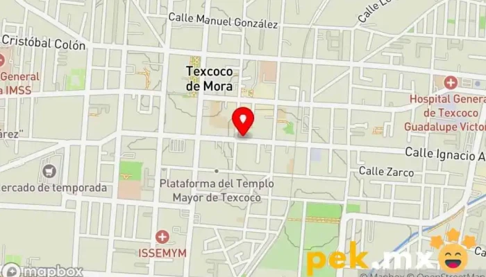 mapa de CFE Texcoco Compañía eléctrica en Texcoco de Mora