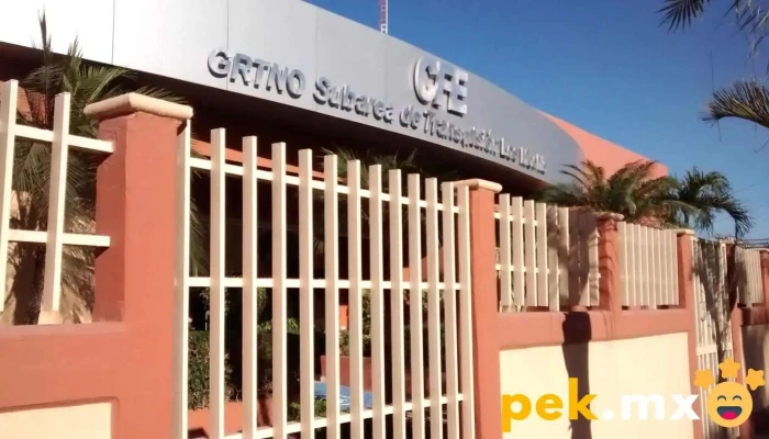 Cfe transmisión Zt Los Mochis - Los Mochis