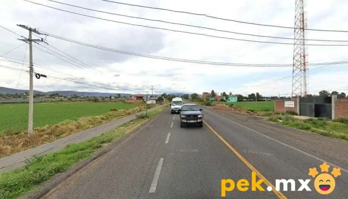 Cfe Zona Irapuato Sección Cuerámaro - Tupátaro