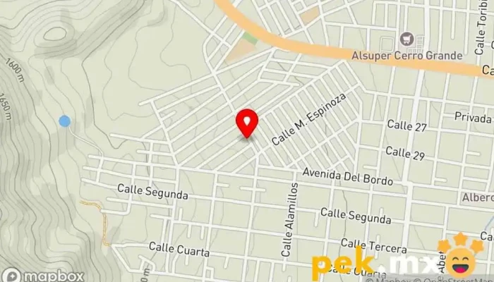 mapa de comercializadora electrica agon Tienda de electricidad en Chihuahua