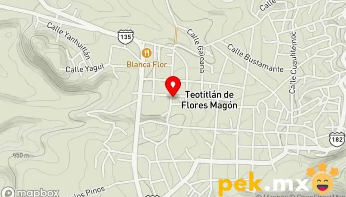mapa de Comisión Federal De Electricidad Oficina de gobierno local en Teotitlán de Flores Magón