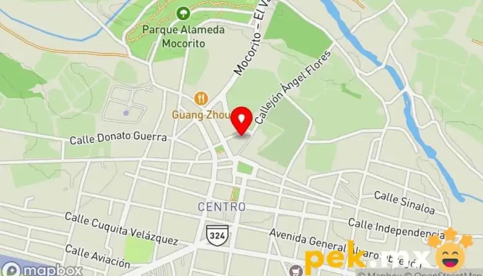 mapa de Comisión Federal de Electricidad Gobierno en Mocorito
