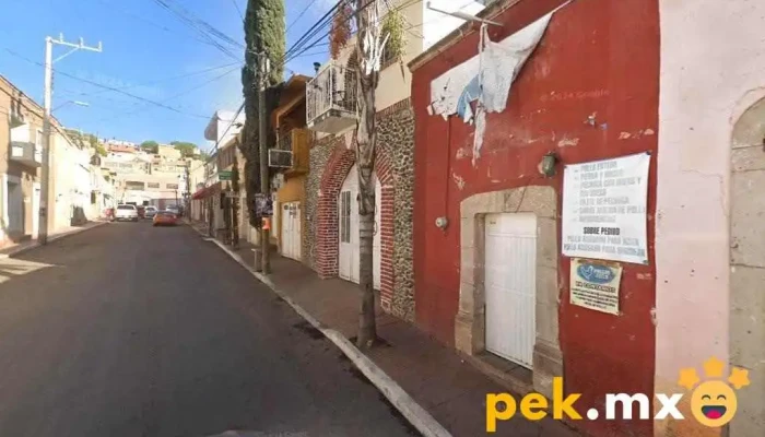 Comisión Federal de Electricidad - Zona Centro