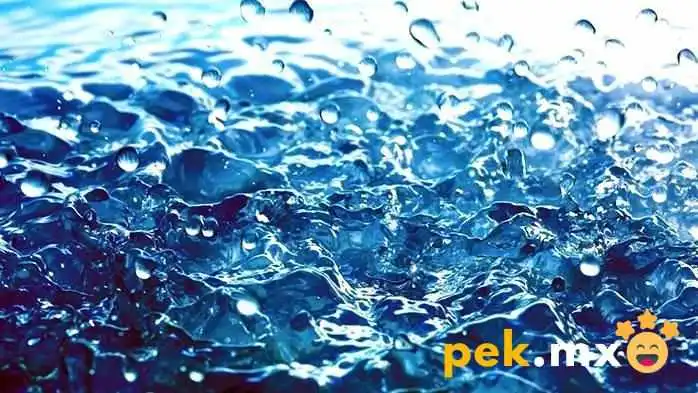 Comité de Agua Potable Cañada de Cisneros - Cañada De Cisneros