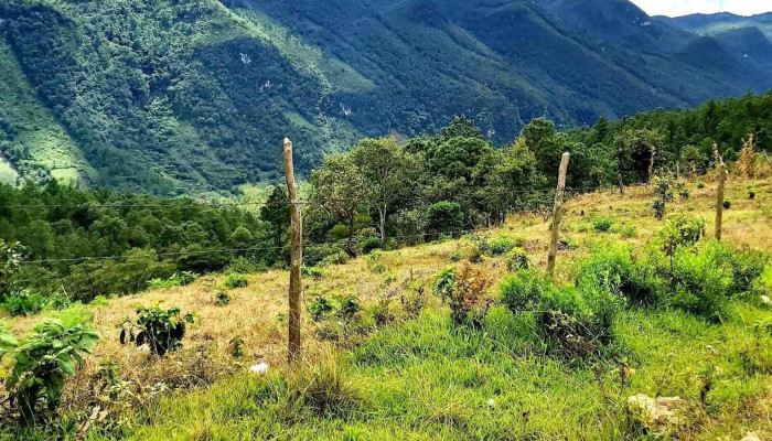 Comunidad de 29330 pugchénMumuntic, Chiapas - Chis