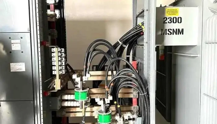 Corporacion Electrica Del Bravo Sa De Cv Opiniones - Reynosa