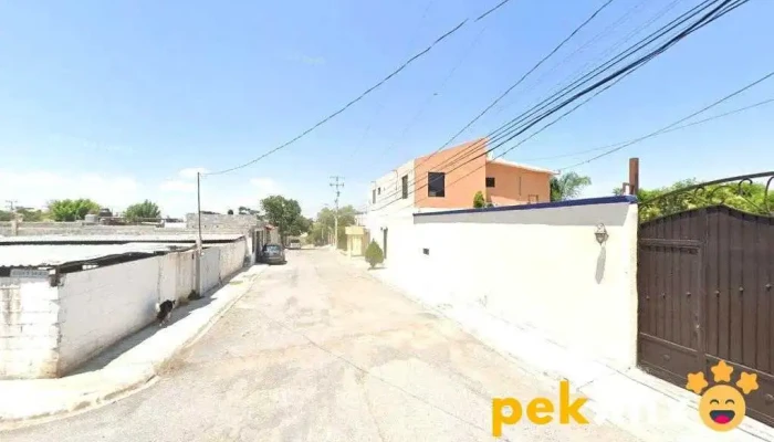 Dcp - Guanajuato De Abajo