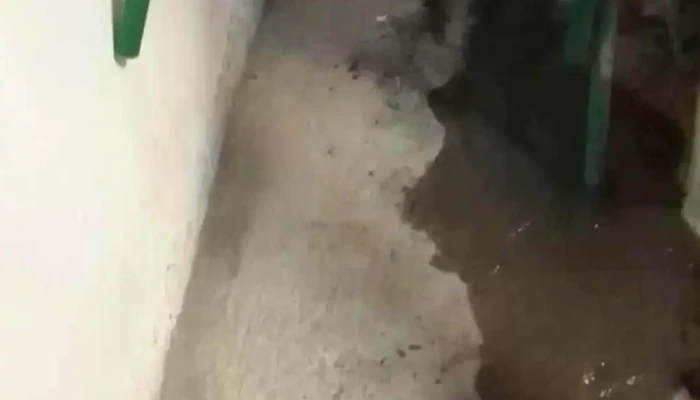 Decoracion Y Electricidad Videos - México