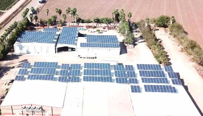 Degenergy -  Los Mochis - Los Mochis