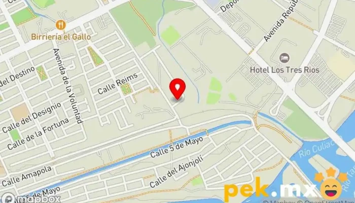mapa de DEPROYEC PLANTAS ELECTRICAS Electricista en Culiacán Rosales