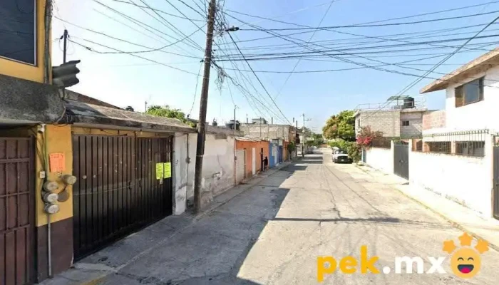 Desarrollo y Ejecución de Proyectos Eléctricos S.a. de C.v. - Jiutepec