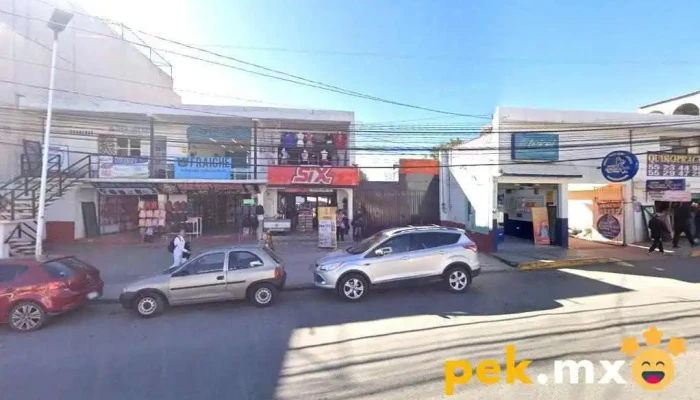 Dinar Solar - Jilotepec De Molina Enríquez