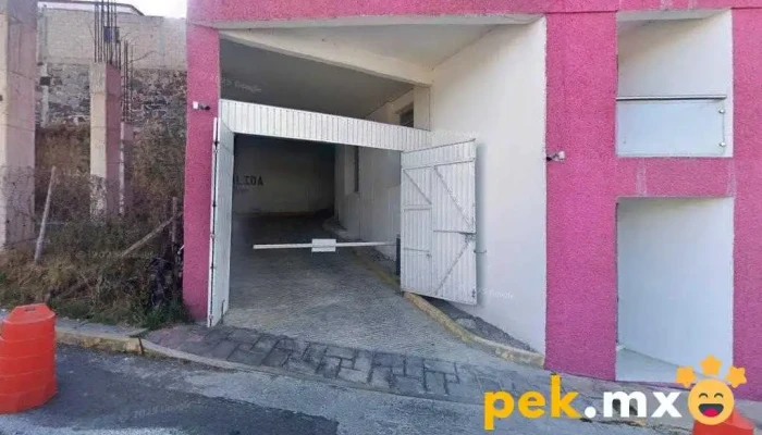 Dingenieria - Tlax