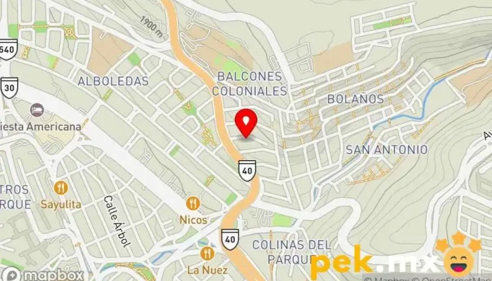 mapa de DIPESE Ingeniero eléctrico, Servicio de instalación eléctrica, Asesor en ingeniería, Ingeniero industrial, Ingeniero estructural en Santiago de Querétaro