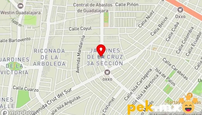 mapa de Distribuidora Electrica Bravo suc. Abastos Tienda de electricidad en Guadalajara