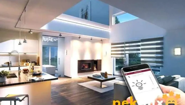 Domus Inteligente - Cdad. Hidalgo