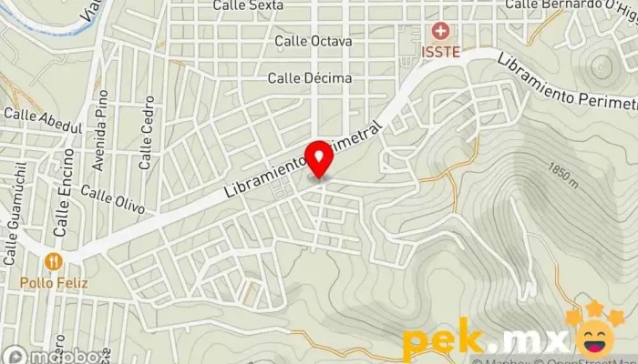 mapa de Doulos Construcción Eléctrica y Solar Electricista, Servicio de grúa, Industria naviera en Hidalgo del Parral