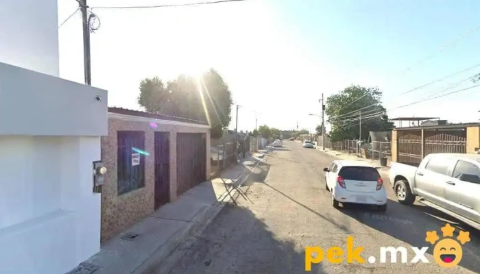dsi integra - Fraccionamiento Pedregal Turquesa