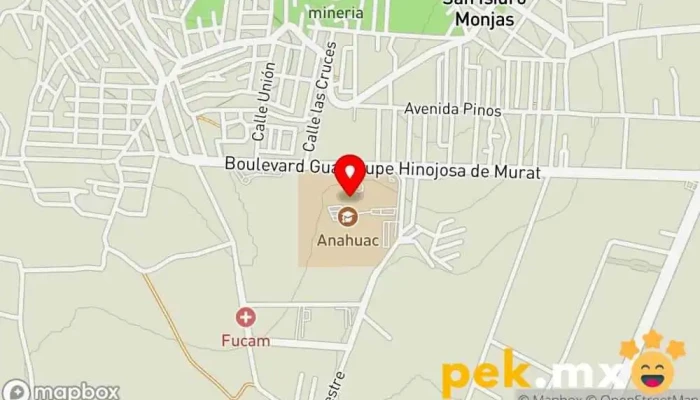 mapa de Easy Toolz Persona de mantenimiento en San Raymundo Jalpan