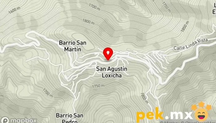 mapa de Edificio Municipal de San Agustín Loxicha Ayuntamiento de la localidad en San Agustín Loxicha