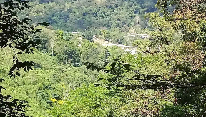 Ejido Agua blanca Serranía. Municipio de Palenque, Chiapas - Chis