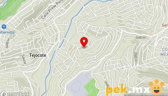 mapa de Ejido del Tejocote  en Ejido del Tejocote