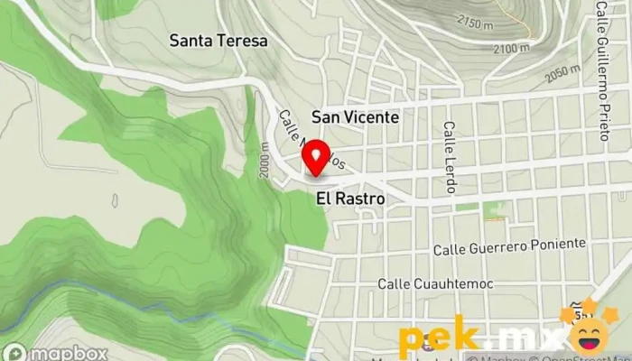 mapa de Eléctrica CIL´S Electricista en Tenancingo de Degollado