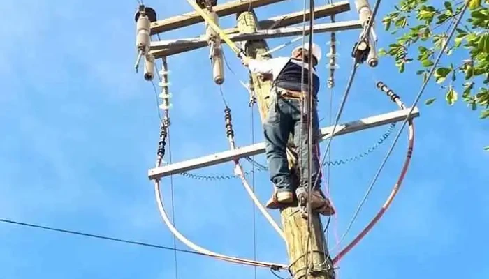 Electrica Elizalde Del Propietario - Los Mochis