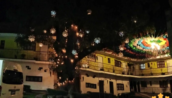 Electrica Gama - Centro