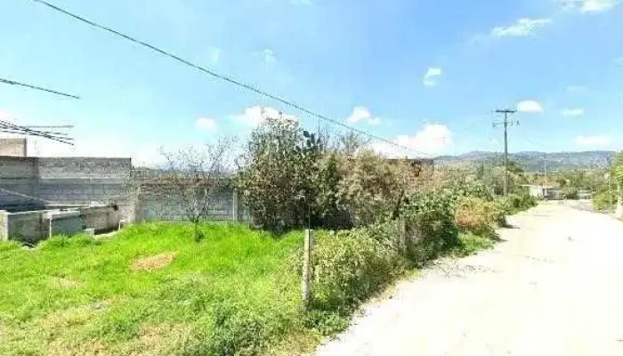 Electrica Juarez -  Videosdeg - Loma Alta Taxhimay