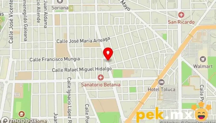 mapa de Electrica Santa Ana De Toluca SA de CV Tienda de electricidad en Toluca de Lerdo