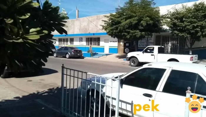 Electrica Serrano Precios - Guamúchil