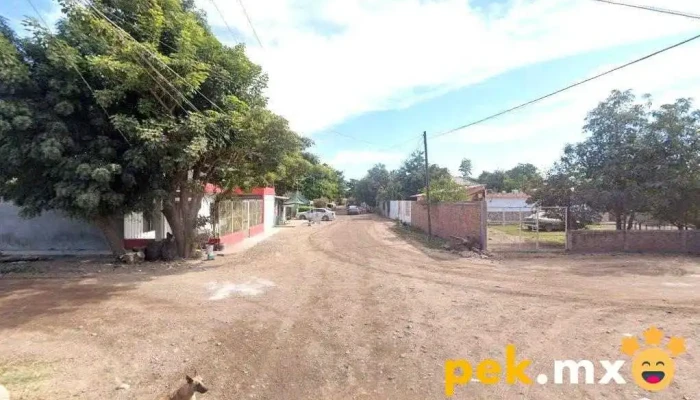 Electrica Zamarripa - Guasave