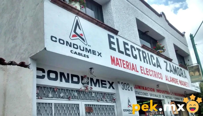Eléctrica Zamora - Toluca De Lerdo