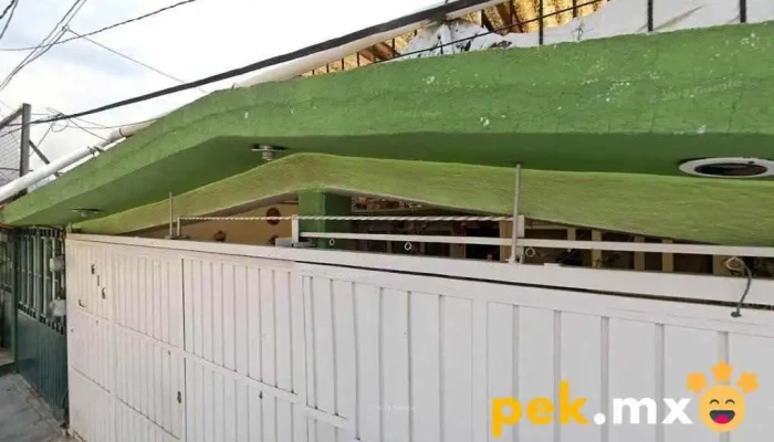 Electricidad, Plomería, Impermeabilización, Pintura, Albañilería. [Mantenimiento General] - San Francisco Coacalco