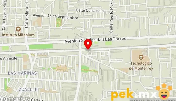 mapa de Electricista Y Gestión Ante Cfe  en San Salvador Tizatlalli