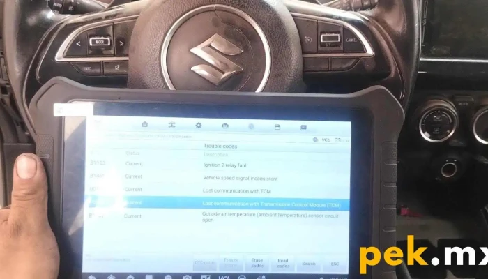 Electrico Automotriz Castillo Del Propietario - Chimalhuacán