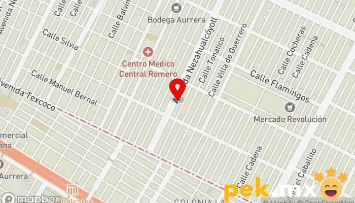 mapa de Electrico Automotriz Taller de automóviles en Cdad. Nezahualcóyotl