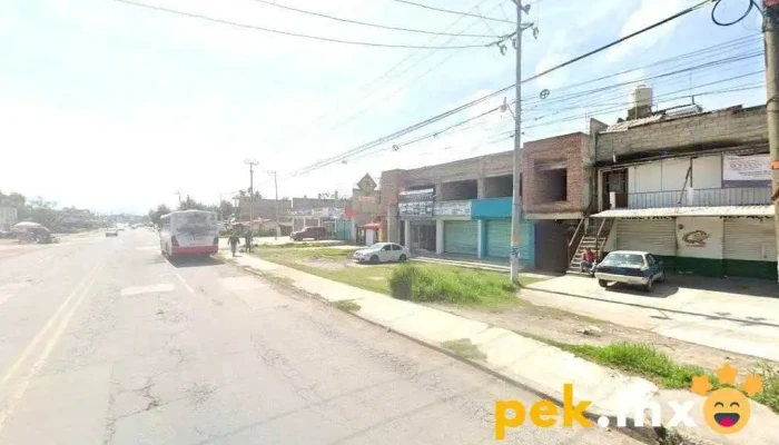 Eléctrico automotriz "Octavio" - Villa Cuauhtémoc