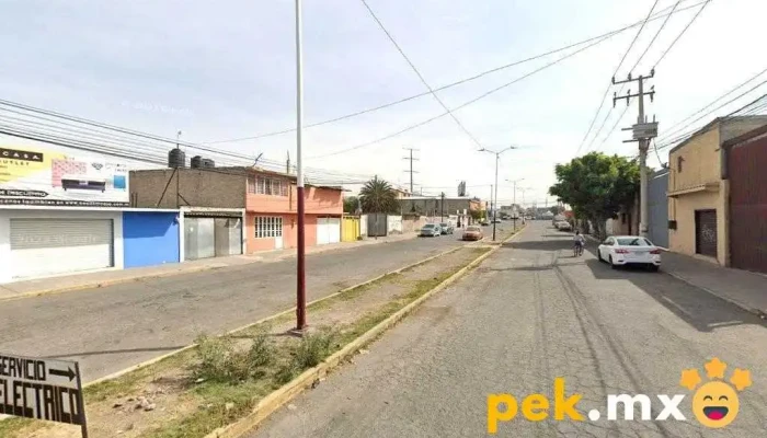 Electrico Automotriz Term - Tepexpan