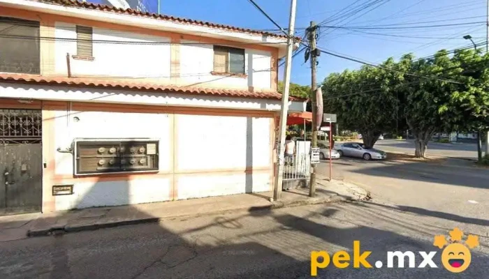 Electro Porcayo - Cuernavaca