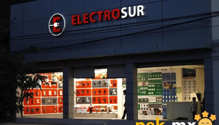 Electro Sur Burocrata -  Abierto Ahora - Iguala de la Independencia