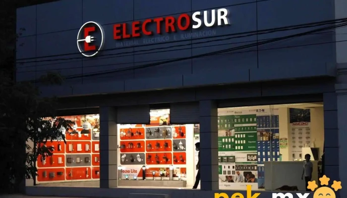 Electro Sur Burocrata - Iguala De La Independencia