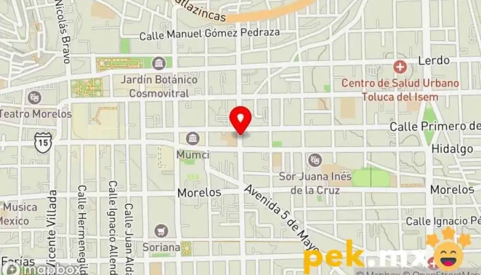 mapa de Electronica en General  en Toluca de Lerdo