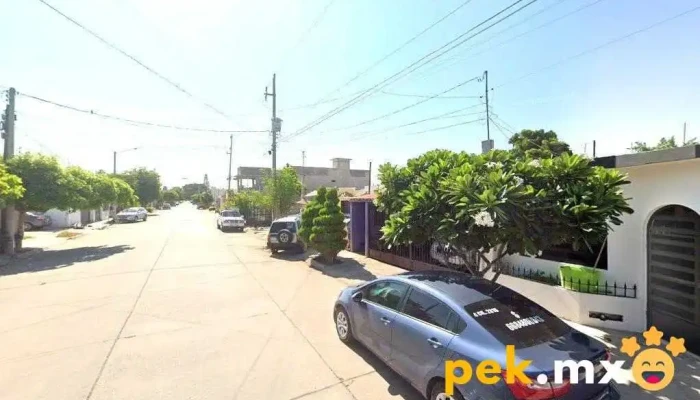 Electronica Palomares - Los Mochis