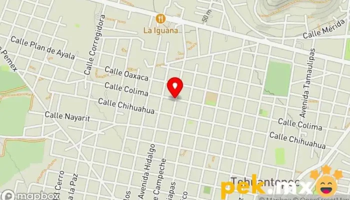 mapa de Embobinados y reparaciones el mesias Taller de reparaciones eléctricas en Santo Domingo Tehuantepec