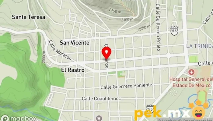 mapa de Emiliano Zapata Sociedad de viviendas en Tenancingo de Degollado