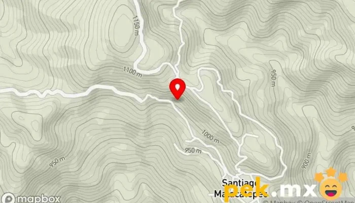 mapa de Escuela Telesecundaria Instituto de secundaria en Santiago Malacatepec