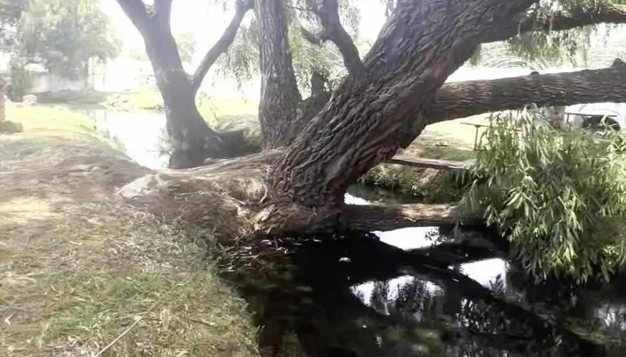 Etucuaro -  Videos - Etúcuaro