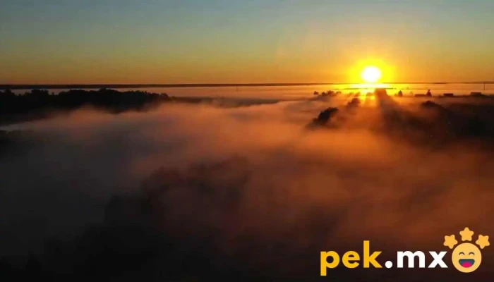 Ewk Power Rent Renta Y Venta De Plantas De Luz Y Bancos Resistivos Del Propietario - Teoloyucan